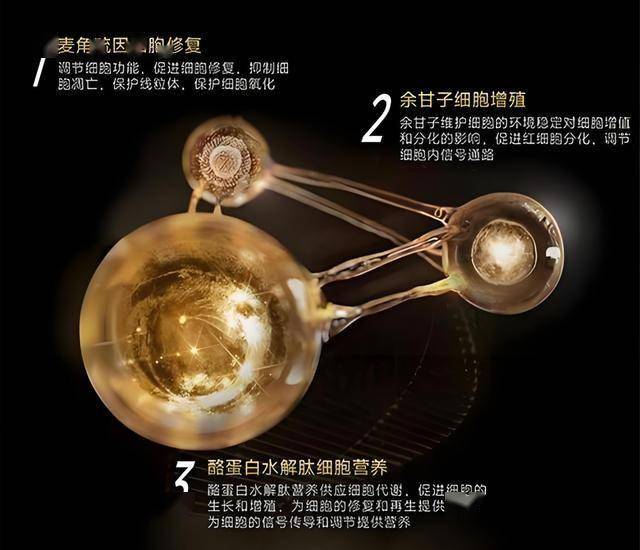 掌握这些股票交易口诀，轻松提高你的理财技能和市场敏感度